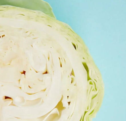 비장에 좋은 음식