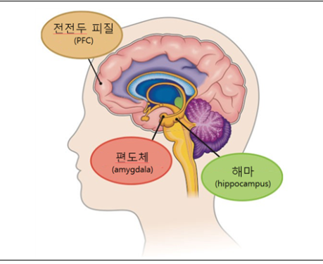해마의 위치
