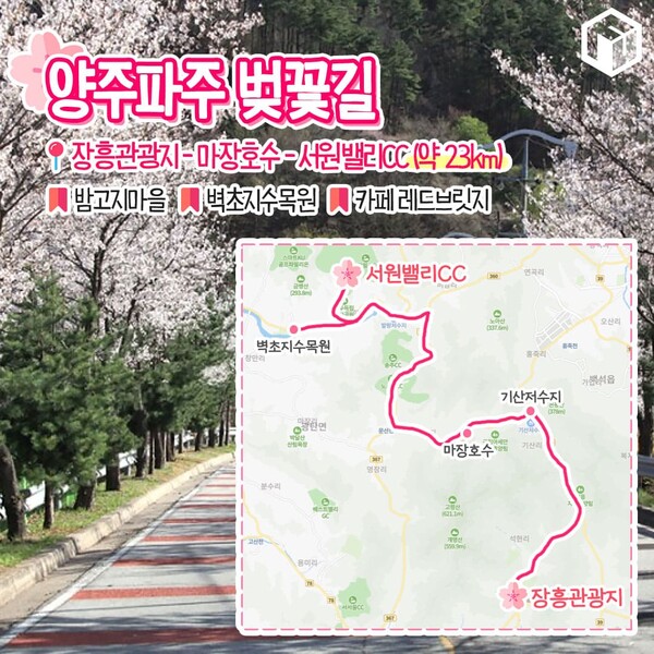 벚꽂 보러 갈래? 드라이브 코스 9(Do you want to go see cherry blossoms? South Korea's Beautiful Drive Course 9)