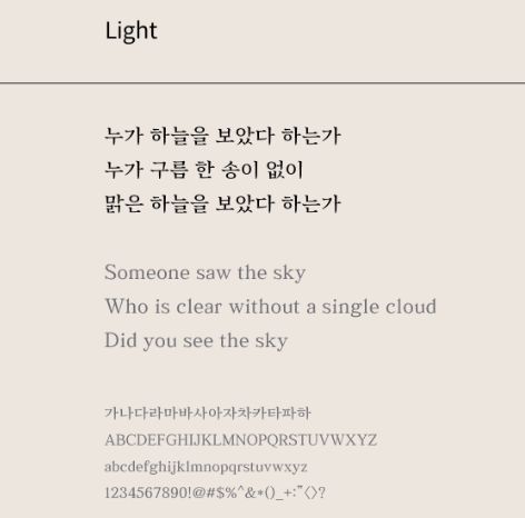 정림사지 Light