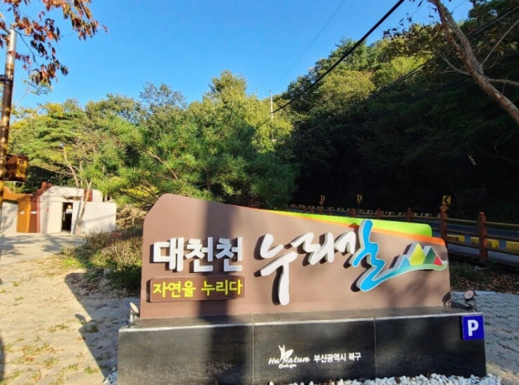 2024년 7월 여름 전국 수국 축제 일정