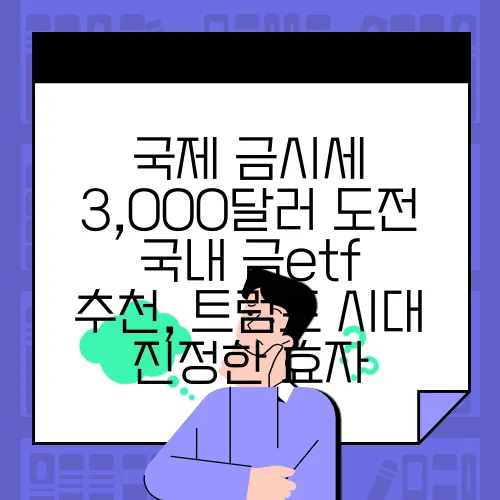 국제 금시세 3,000달러 도전 국내 금etf 추천, 트럼프 시대 진정한 효자