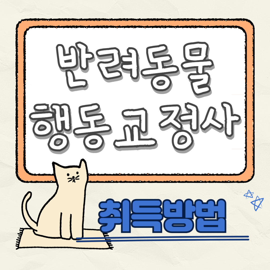 반려동물 행동교정사 자격증, 무료 수강 정보부터 현실적인 진로 이야기