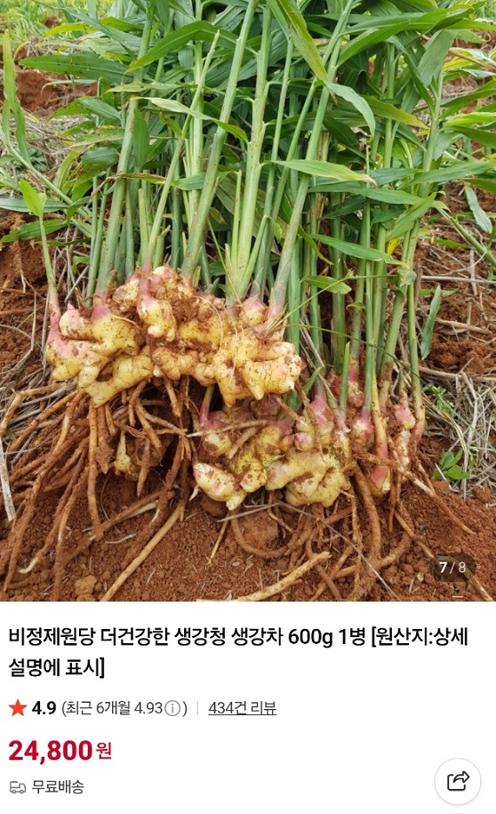 완주-생강청-홍삼이생강날때