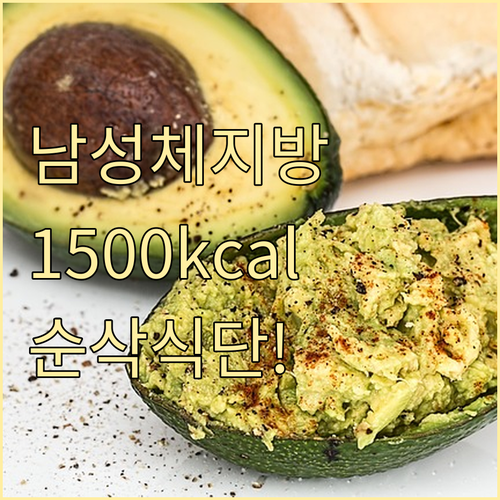 남성 체지방 감량 식단 1500kca..