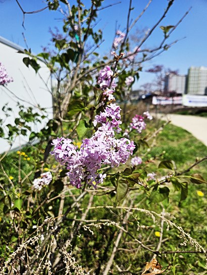 제주 카멜리아힐 다녀온 후기｜생각보다 훨씬 좋았던 제주 동백 명소