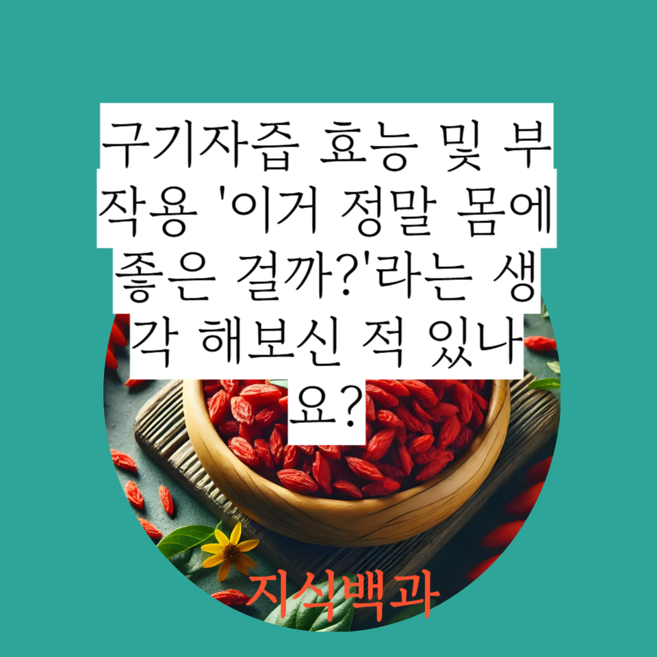 구기자즙 효능 및 부작용 '이거 정말 몸에 좋은 걸까?'라는 생각 해보신 적 있나요?