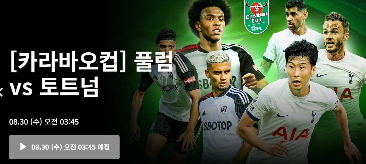 손흥민 경기중계