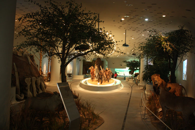 전곡선사박물관-3