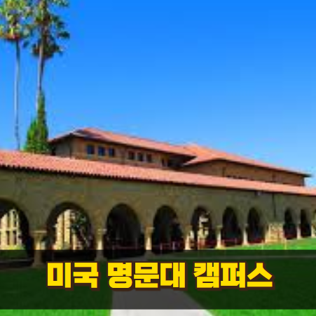 미국 대학 생활 캠퍼스 문화