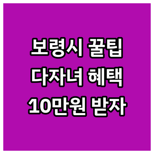 보령시 2025 다자녀 임신부 바우처..