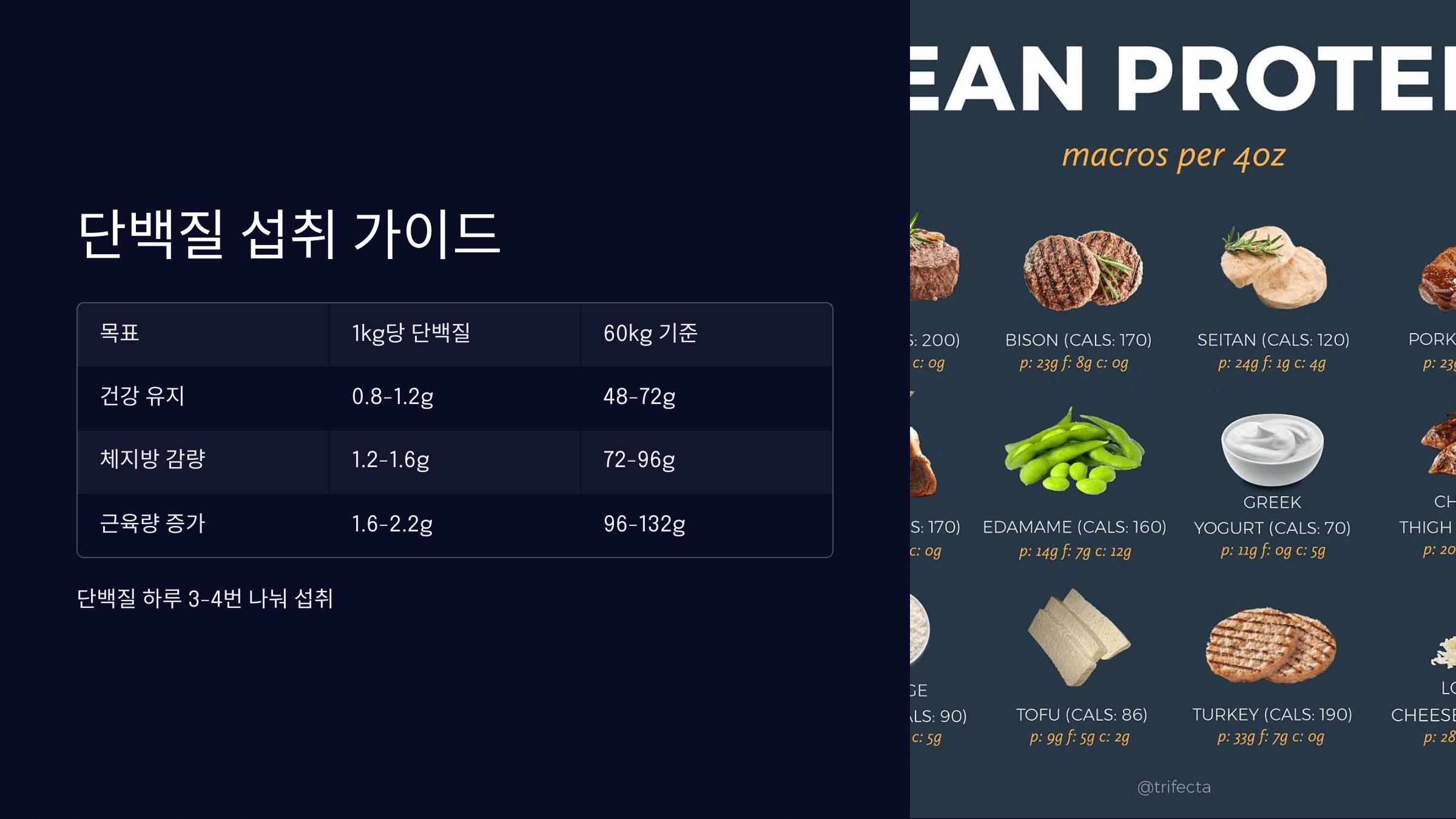 단백질 섭취 양