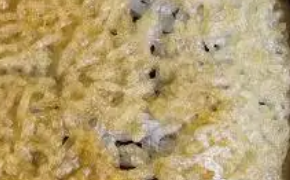 장염에 좋은 음식 