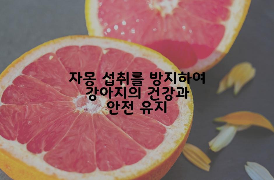 자몽 섭취를 방지하여 강아지의 건강과 안전 유지