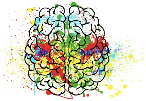 행복 호르몬 세로토닌을 만드는 음식과 생활 습관