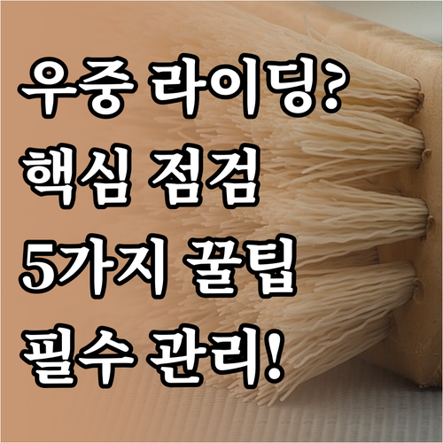 전기자전거 우중 라이딩 후 관리와 점..