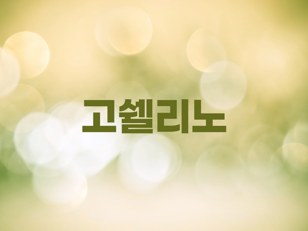 고쉘리노 천주교 남자세례명