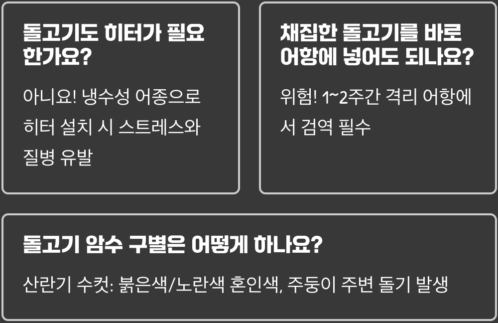 돌고기 키우기 A to Z (어항, 먹이, 수질 관리)