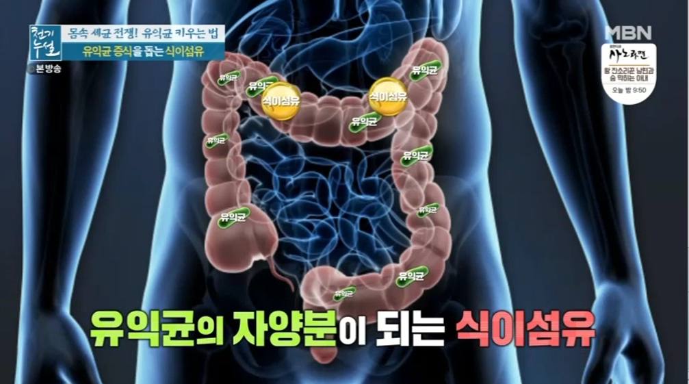 대추 사과대추 효능 대추차 생대추 건대추 고르는법 칼로리 보관법