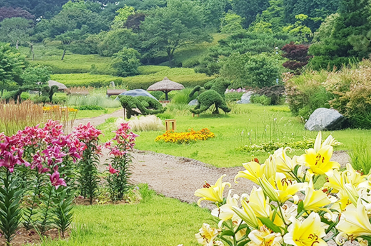 태안 안면도 수목원