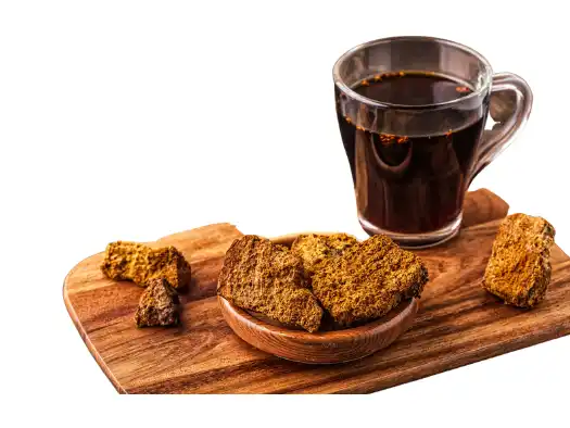 차가버섯 효능효과 영양성분 주의점