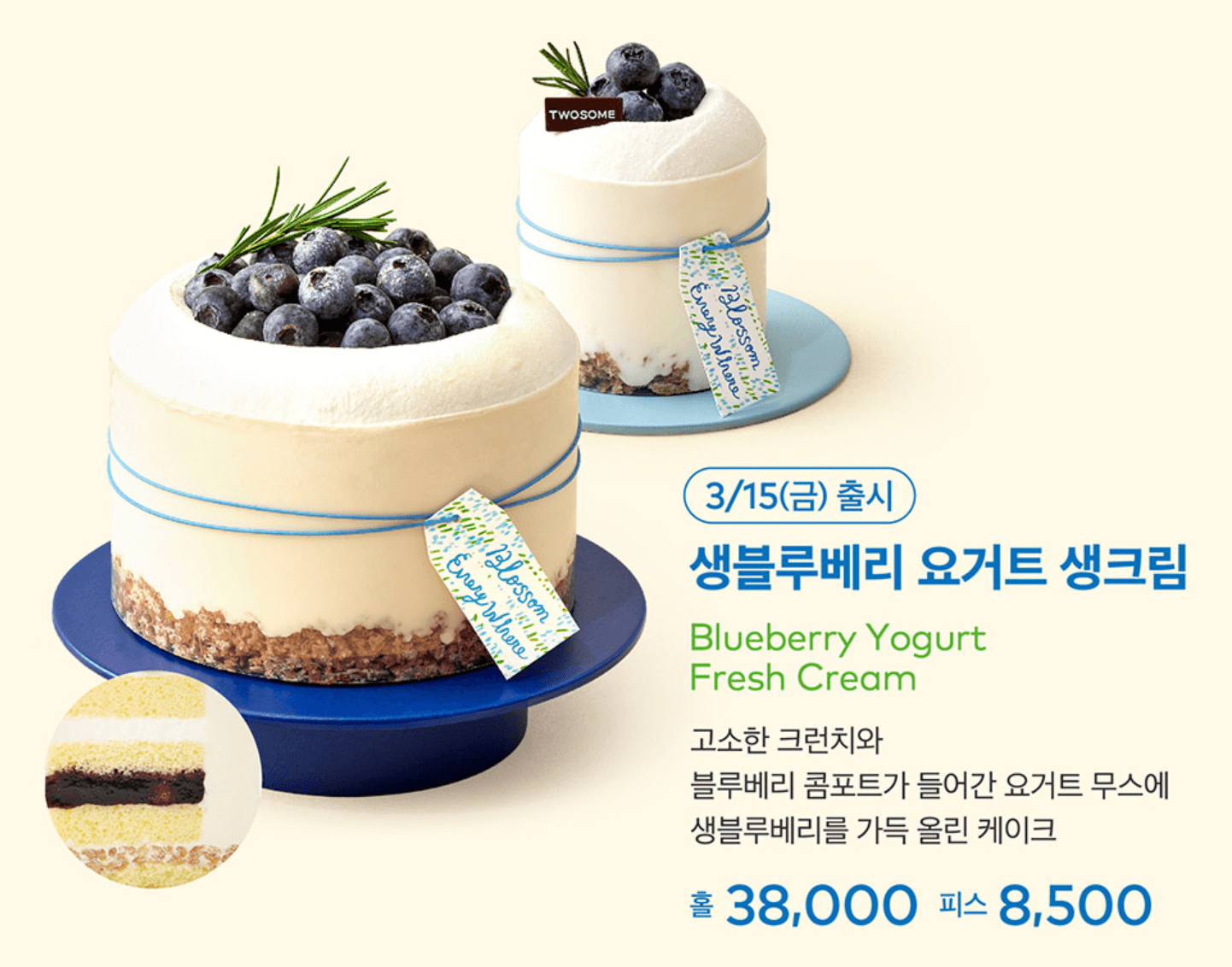 블루베리 케이크