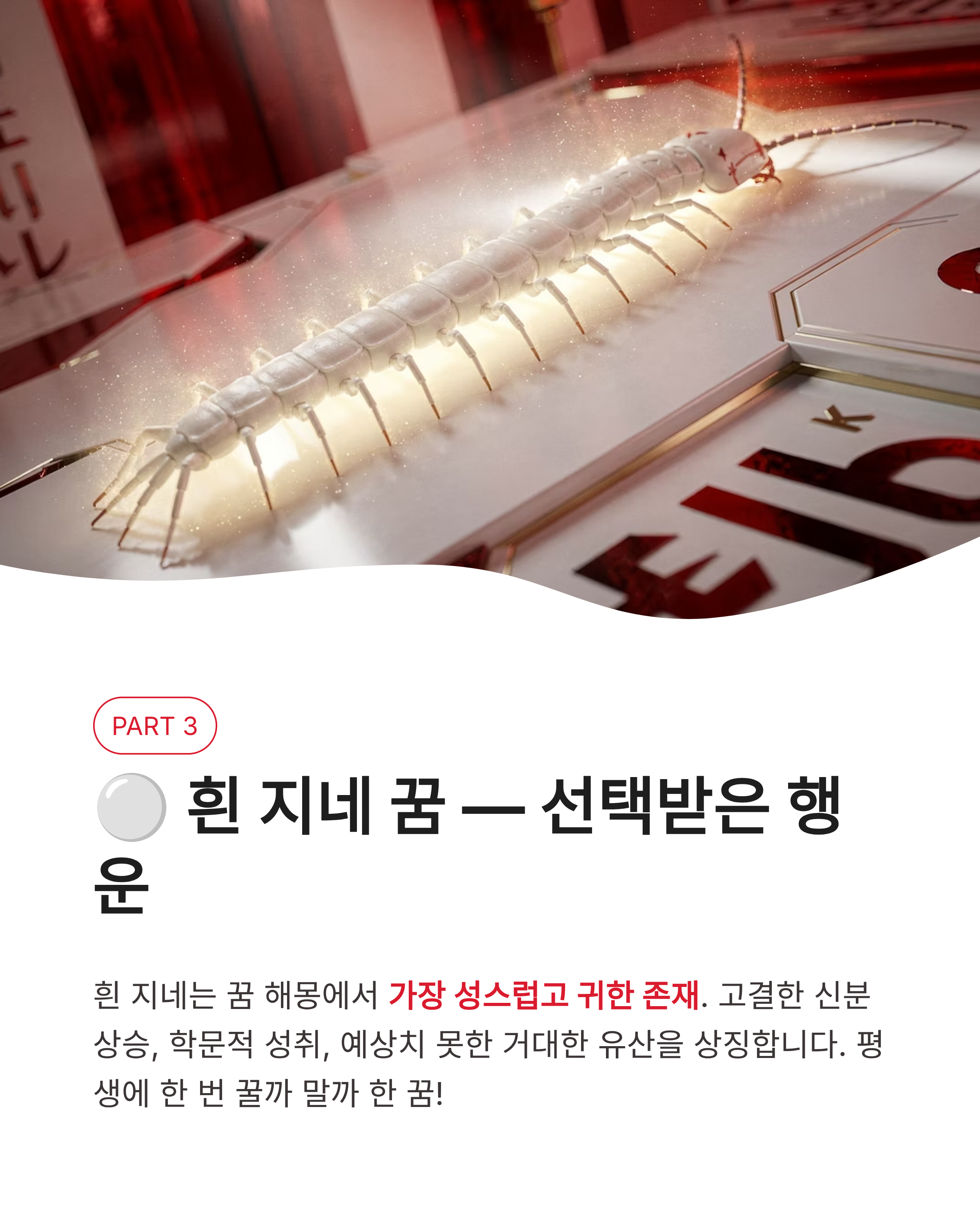 지네꿈 해몽 지네 나오는 꿈 물리는 꿈 큰 지네 잡는 꿈 총정리! 징그러움 뒤에 숨겨진 엄청난 재물운의 비밀?