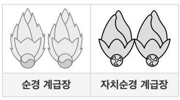 경찰 계급표