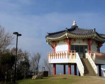 대마도 여행 배편 예약_9