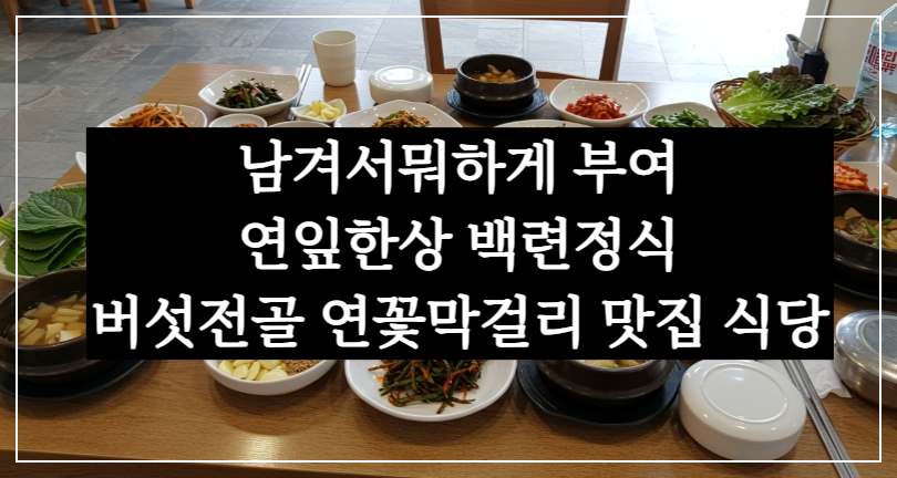 남겨서뭐하게 부여 연잎한상 백련정식 버섯전골 연꽃막걸리 맛집 식당