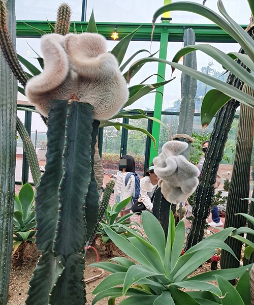 바르바커피-타워360-식물원카페