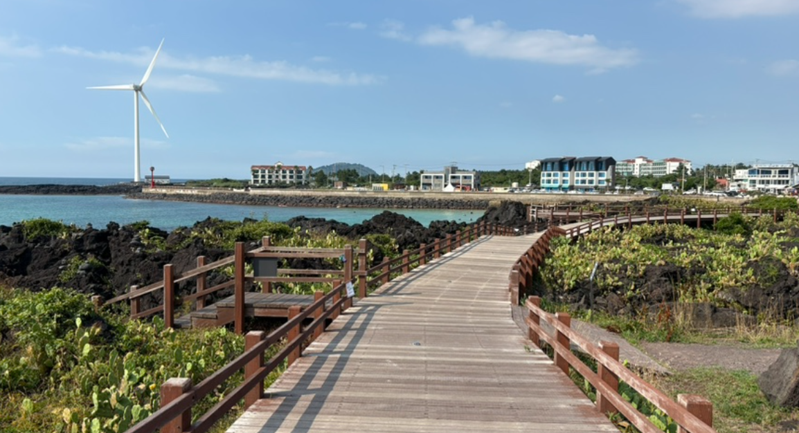 월령포구 선인장 군락지