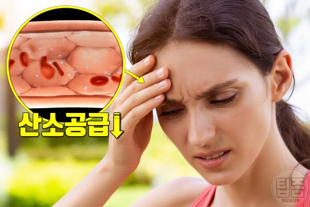 피곤해요 피로감 만성피로 원인 철분 결핍