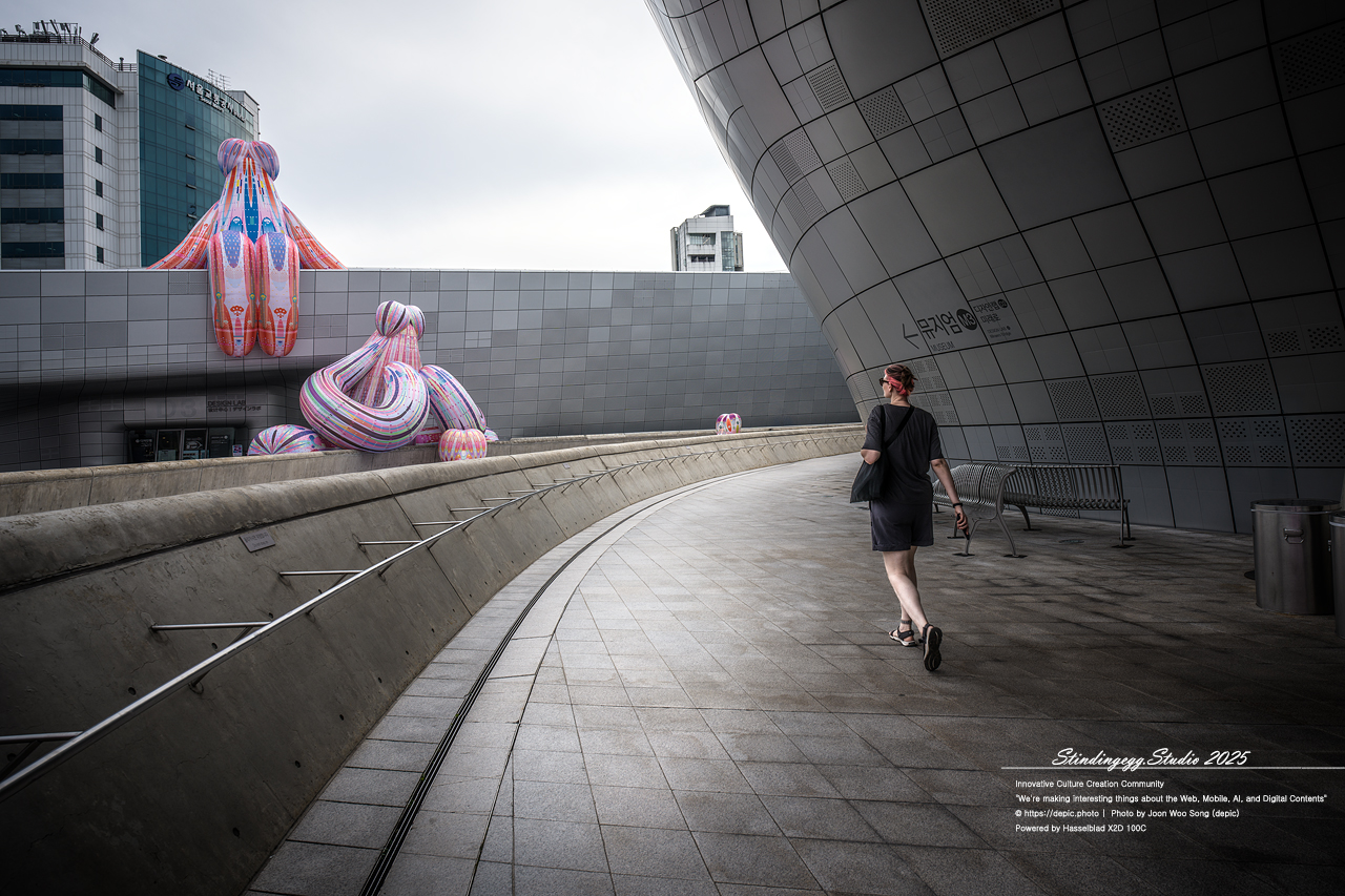 #서울 #동대문디자인플라자 #패션 #디자인 #DDP