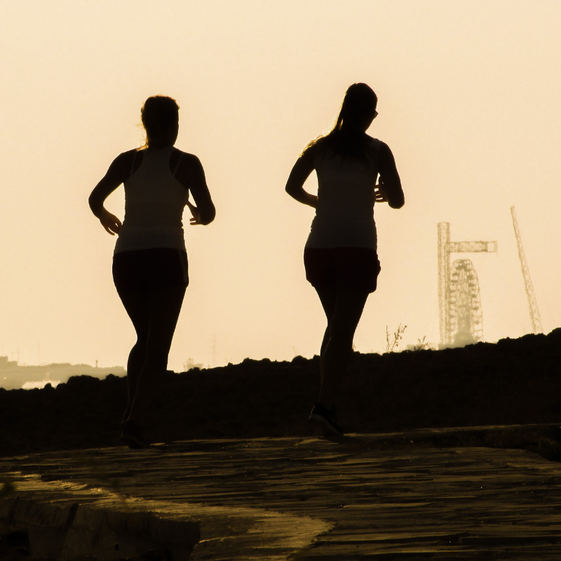 불면증 극복 후기