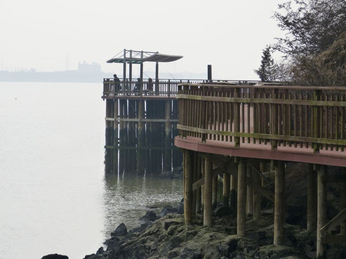 황산도 해안탐방로 관련 사진첨부