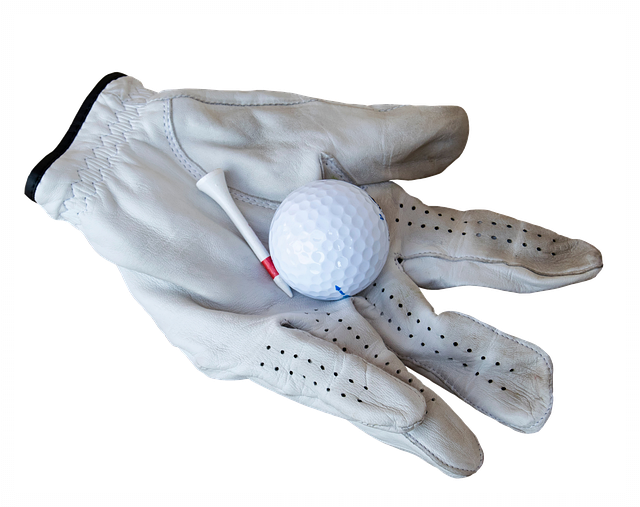 골프장갑