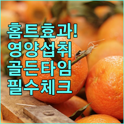 건강한 홈트를 위한 영양 섭취 골든타..