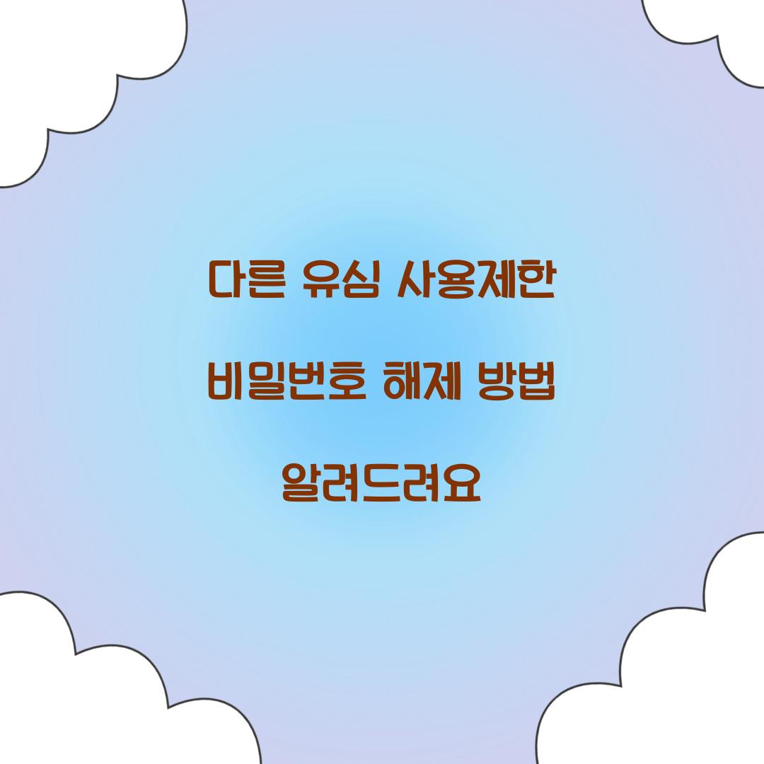 다른 유심 사용제한 비밀번호