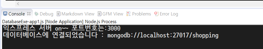 Mongo DB 연결 성공