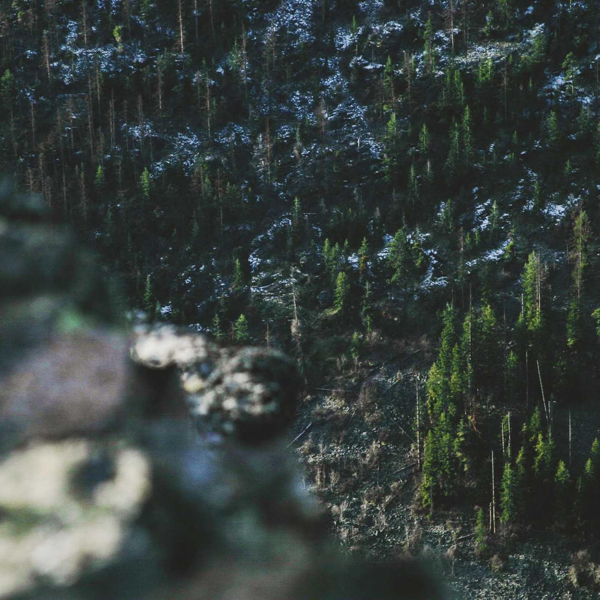 토스 환전 수수료-정말