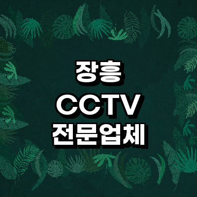 장흥군 cctv