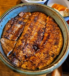 장어구이덮밥