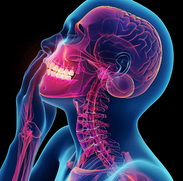 턱 밑 관절 통증