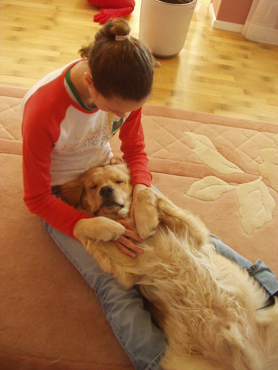 반려동물과 주말 보내기 관련 사진