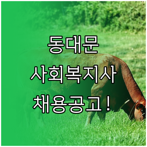 동대문구 시니어클럽 사회복지사 채용 ..