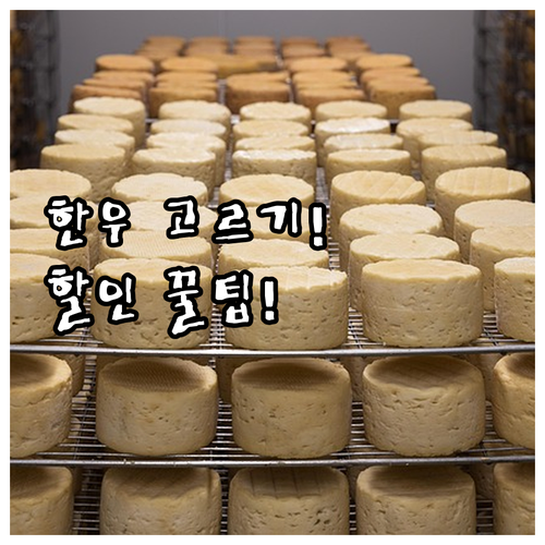 명절 한우 선물세트, 품질 좋은 한우..