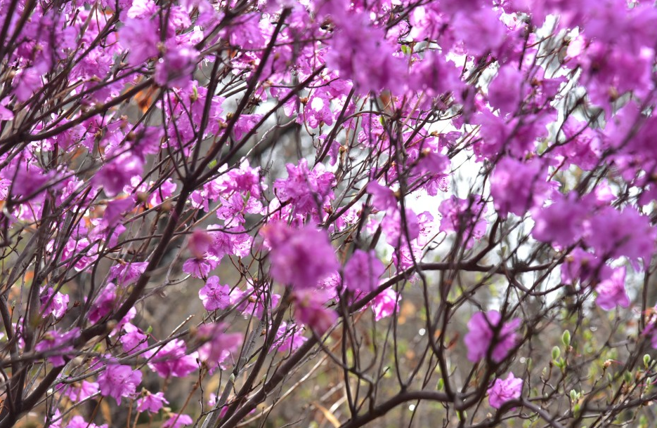 여수 가볼만한곳 베스트10