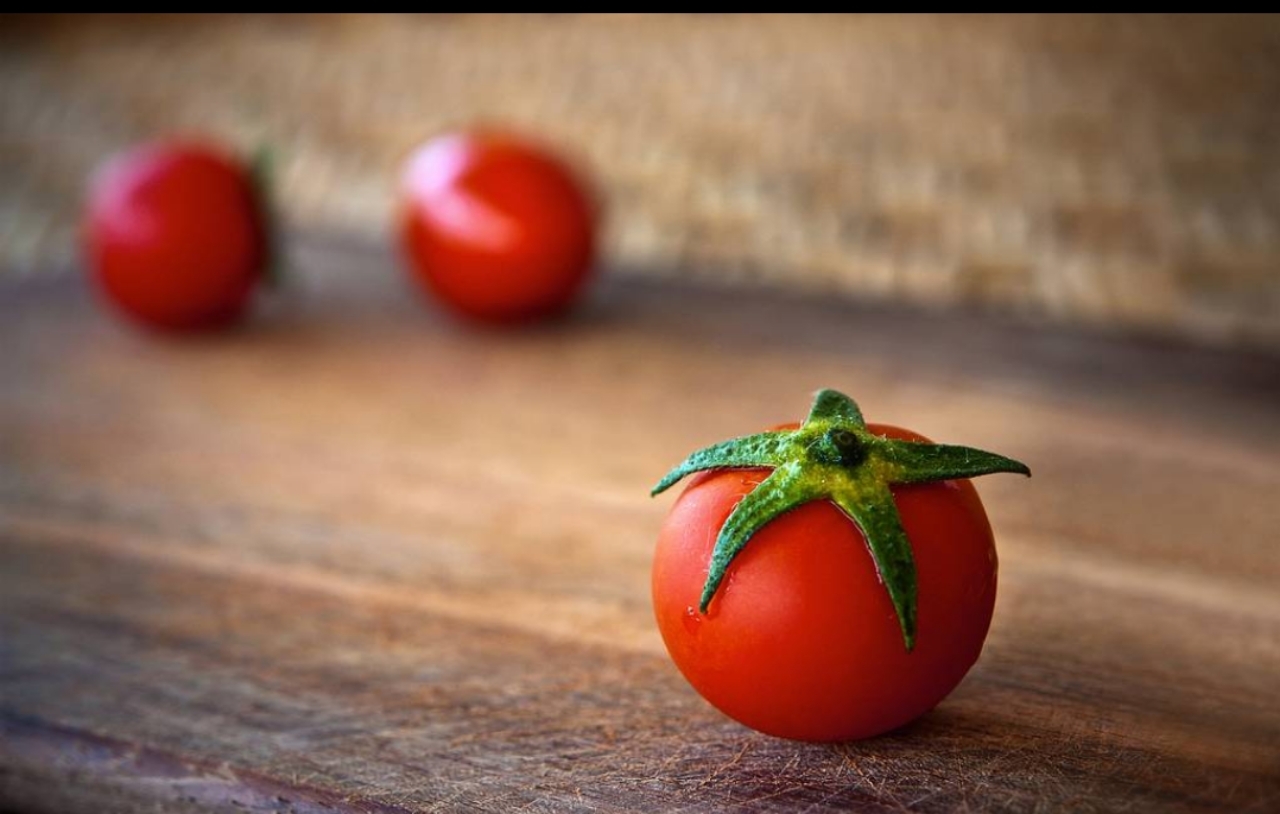 토마토2