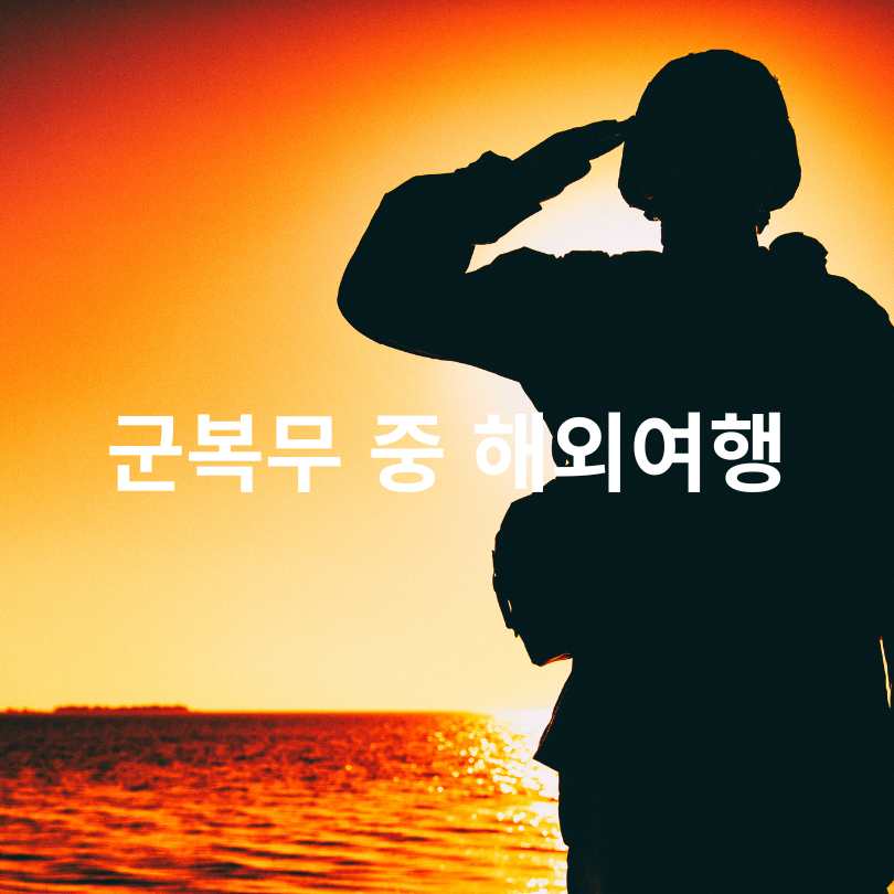 군복무 중 해외여행